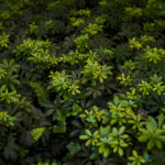 日常をアート作品に / M型Leicaの魅力 