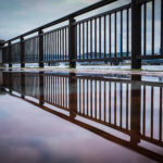 雨と過ごすLeica な日々/  雨の日がもっと好きになる 