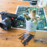 Leica Q2を手放そうか考え抜いた3ヶ月 / LEICA M11を購入して思うこと