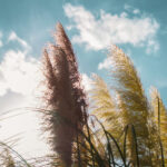 ヘッドフォンで、仕事で酷使しすぎた心の回復を / 心の内側へダイブ