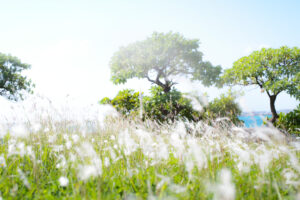 ライカを買う ＝ 人生を買う