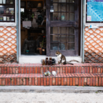 沖縄 | 壺屋やちむん通り | 那覇市で沖縄の原風景を感じる