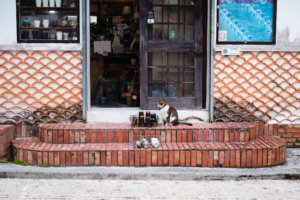 沖縄 | 壺屋やちむん通り | 那覇市で沖縄の原風景を感じる