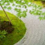 ライカMレンズで得られる新境地