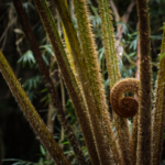 自動がもたらす「つまらなさ」と「ライカM11」